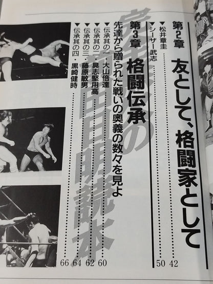 The perfect Akira Maeda  reader