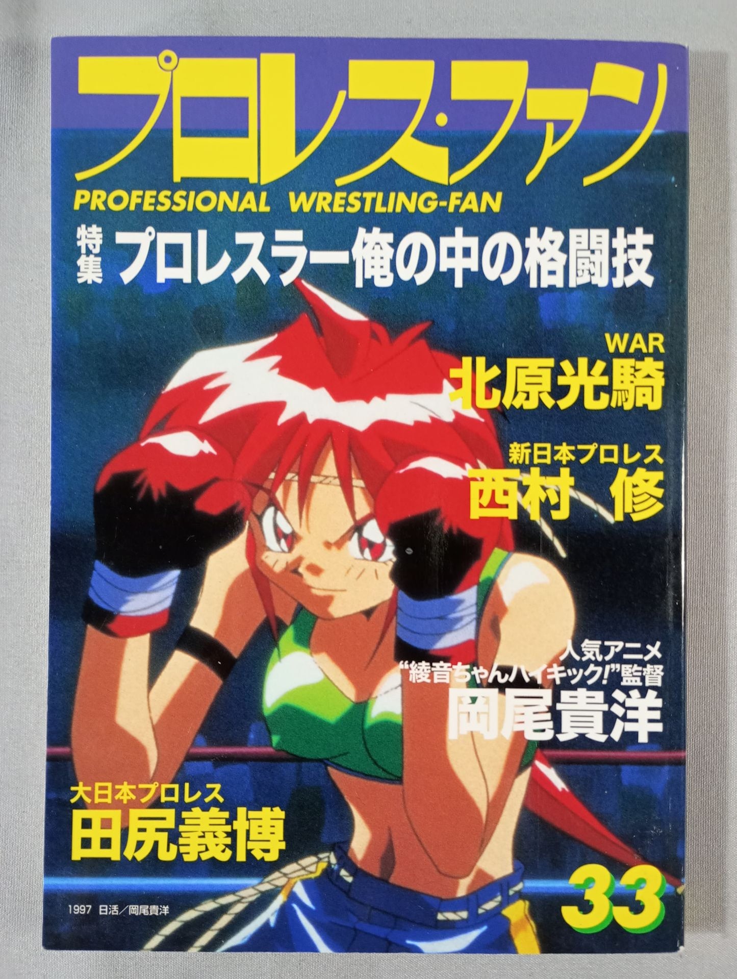 プロレス・ファン33
