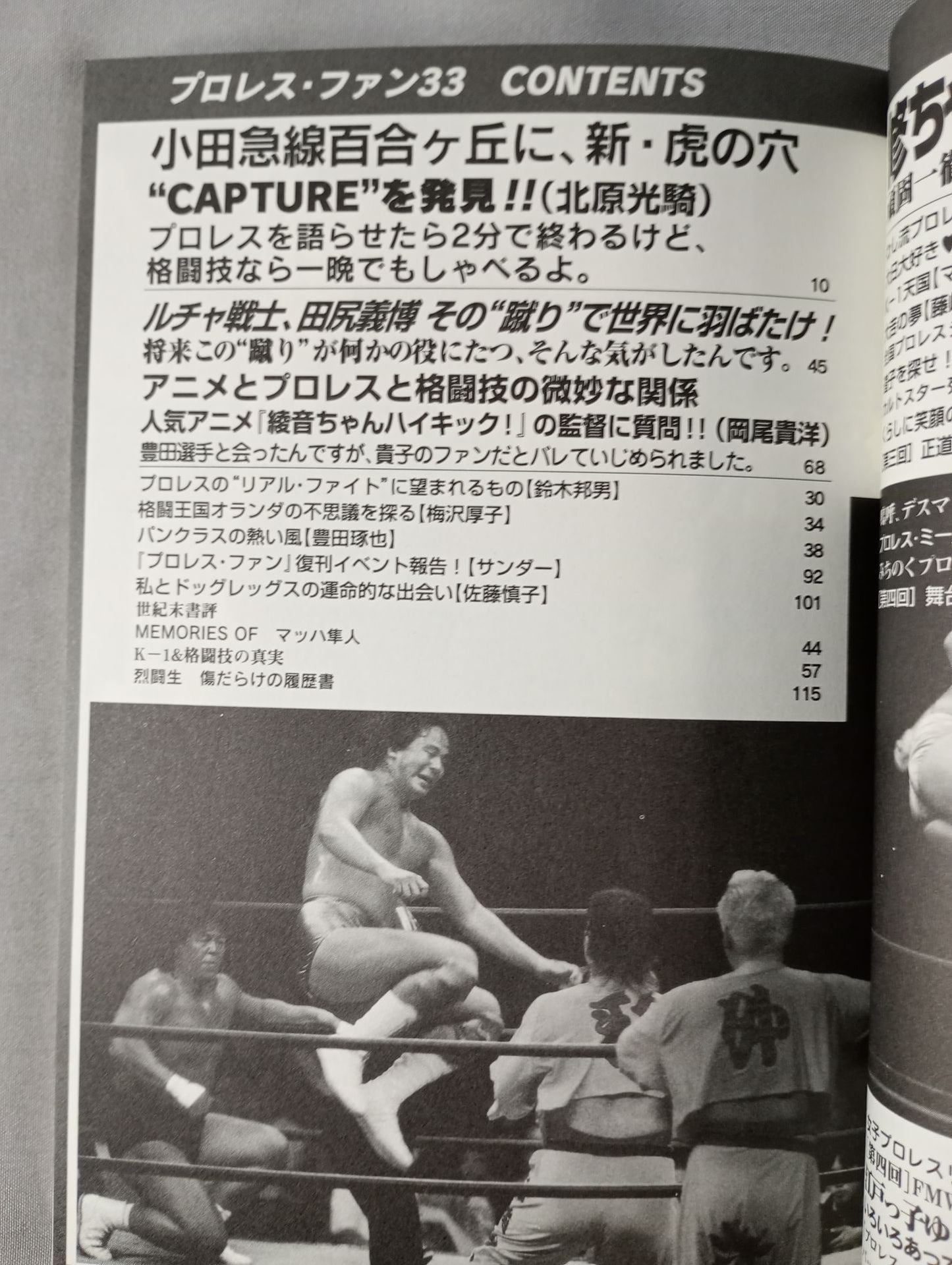 プロレス・ファン33