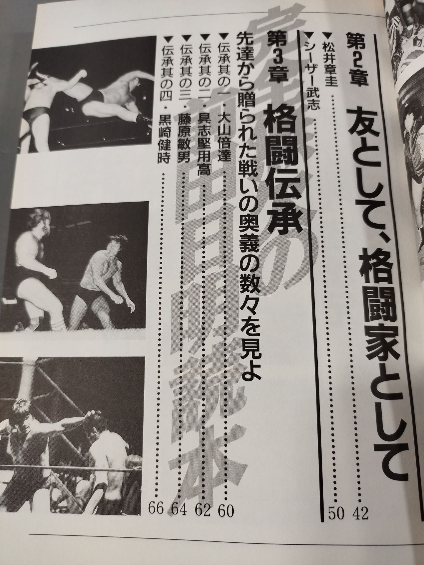 The perfect Akira Maeda  reader