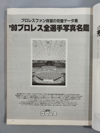 週刊プロレス 名鑑ロマン 15年クロニクル