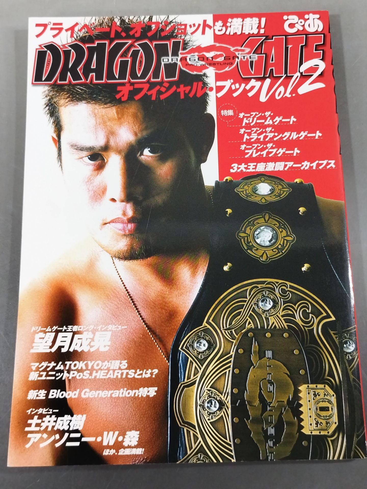 DRAGON GATE オフィシャル・ブック vol.2
