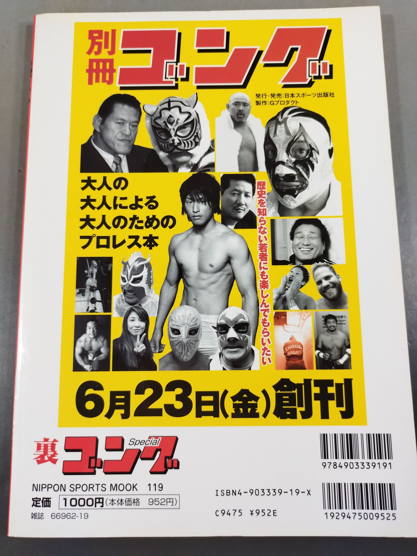 Back Gong Real Print Pro Wrestling  Flag Raising