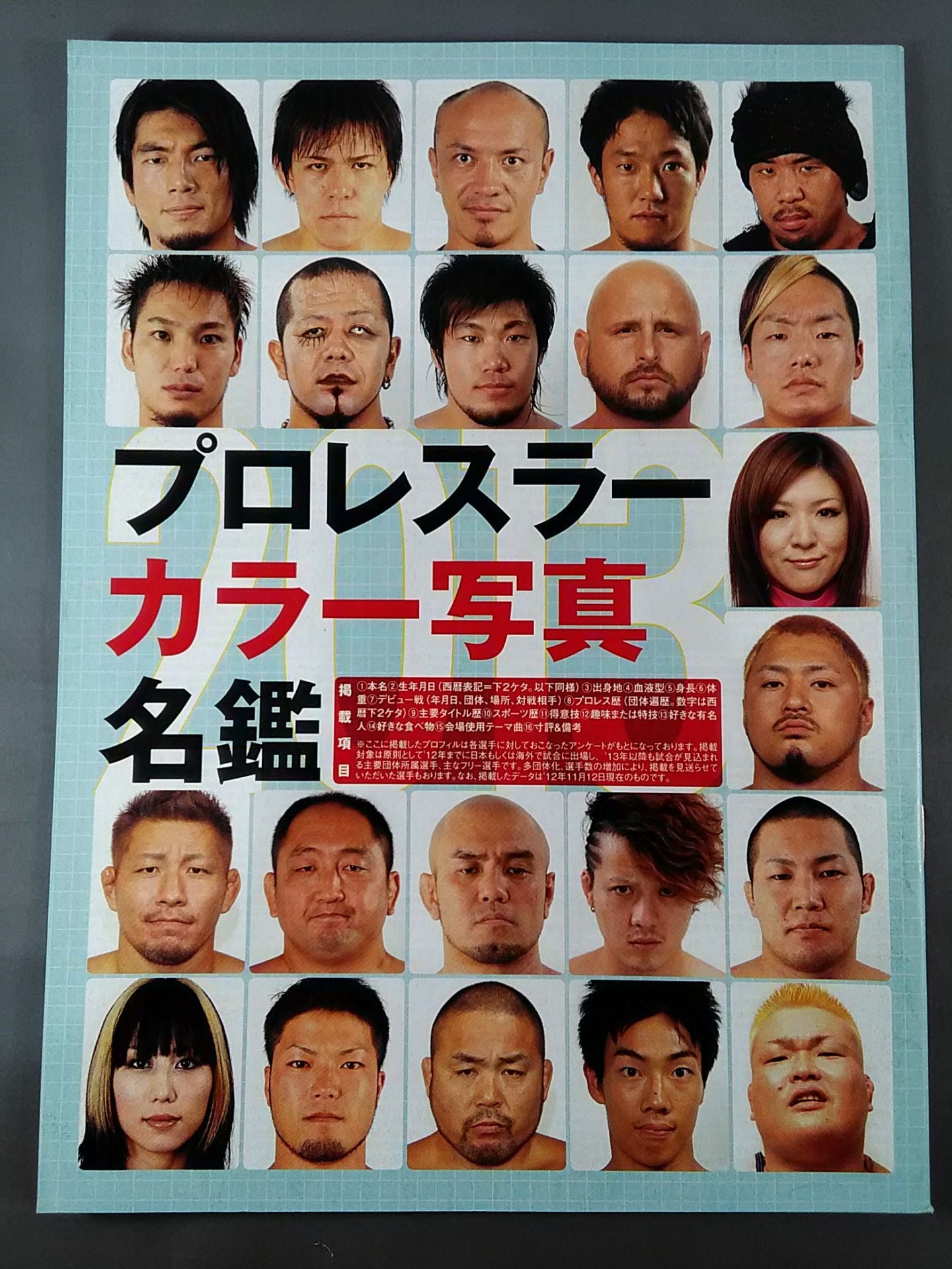 プロレスラー カラー写真名鑑 2013