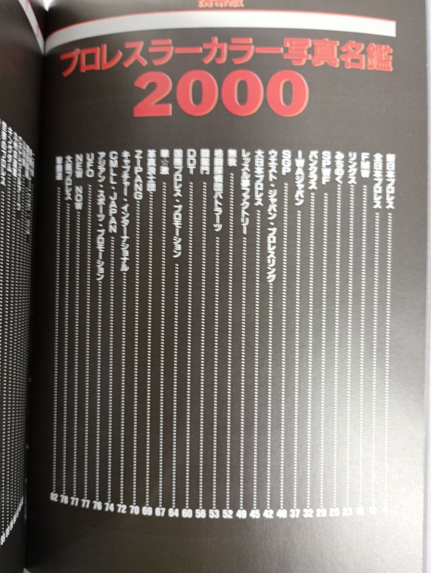 Pro Wrestler  Color Photo  Directory 2000 [Mobile Version]
