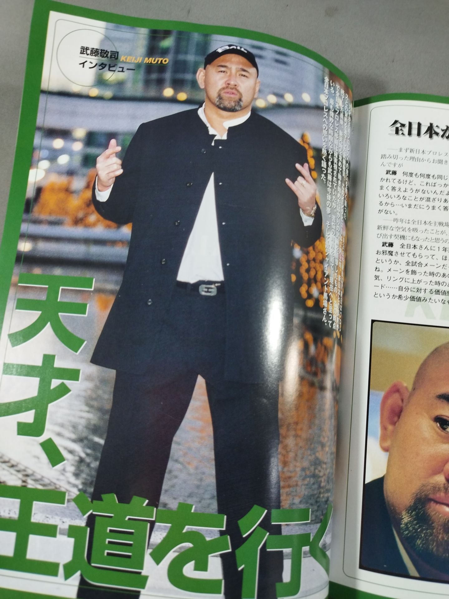 PRO-WRESTLING YEAR BOOK 2002 / 2002年プロレス年鑑