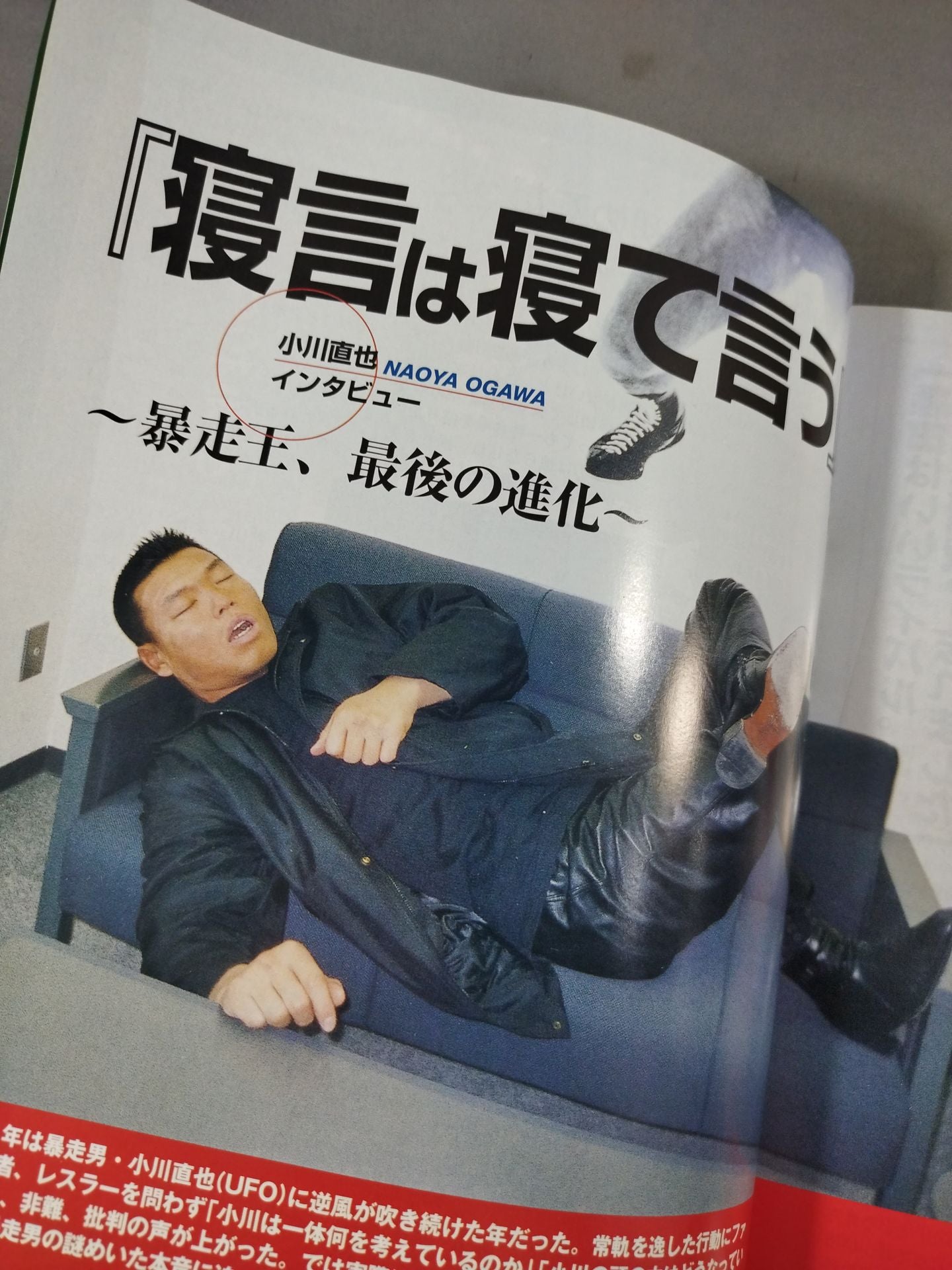 PRO-WRESTLING YEAR BOOK 2002 / 2002年プロレス年鑑