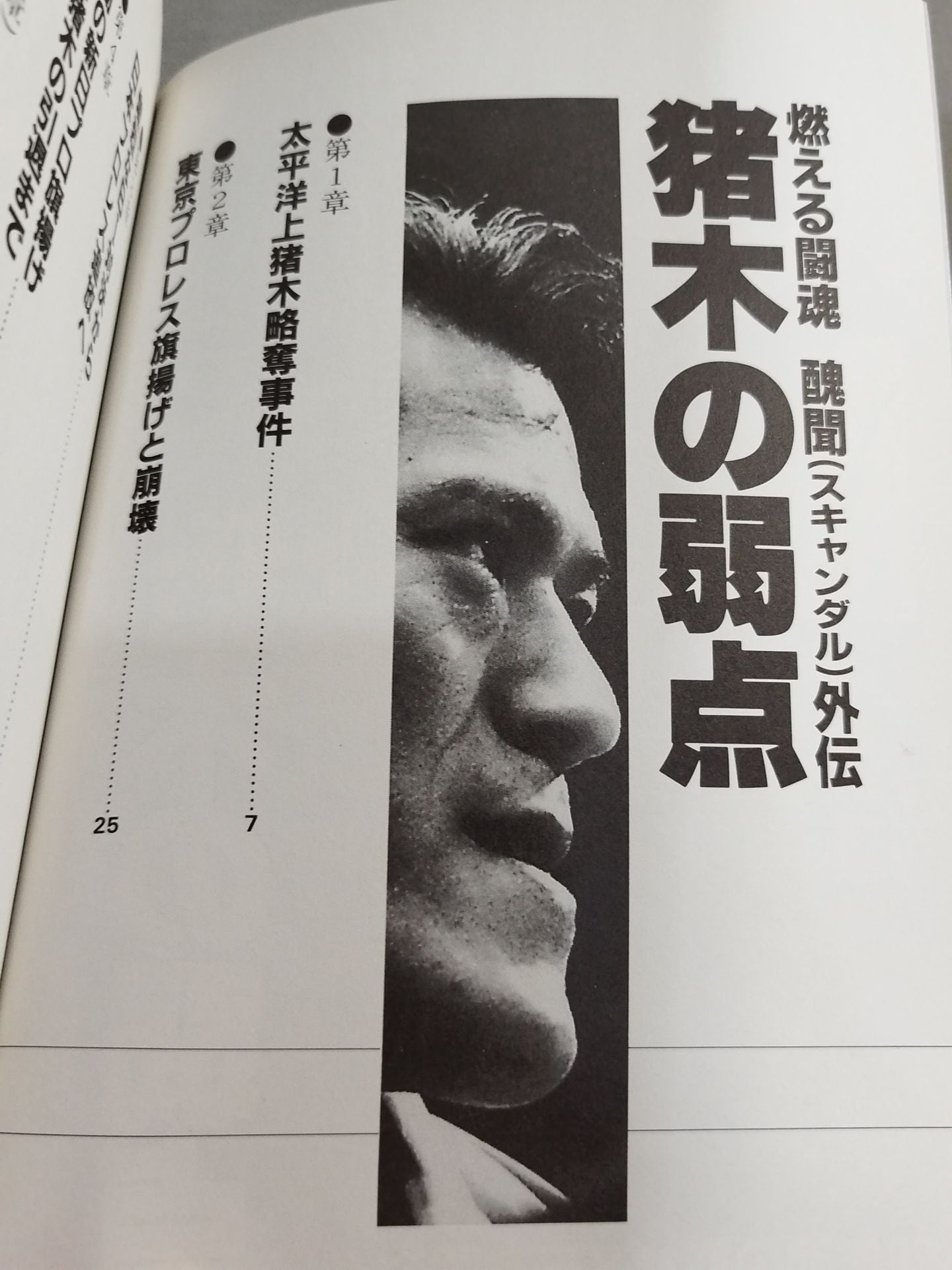 Inoki's Weakness: Burning Fighting Spirit Scandal Gaiden