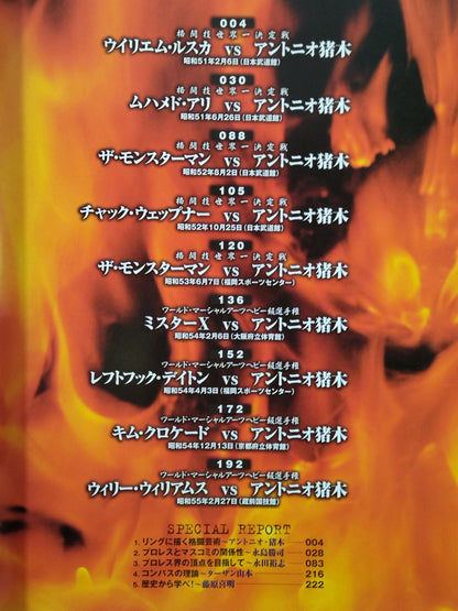 Burning Fighting Spirit New Japan Pro Wrestling Pro-wrestling 30th Anniversary Publication Project Official Reprint Pamphlet Series Martial Arts World Championship Fight