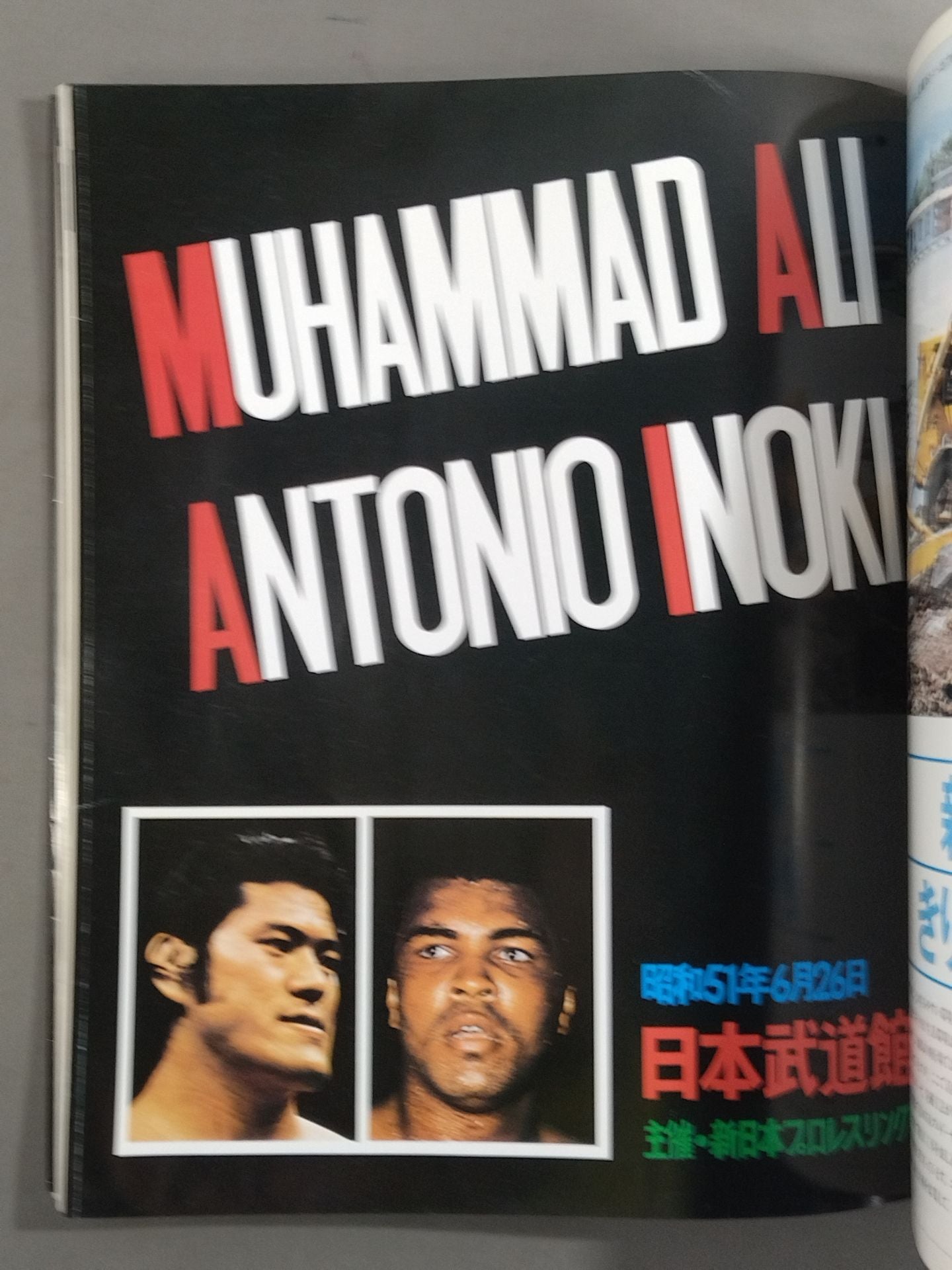 Burning Fighting Spirit New Japan Pro Wrestling Pro-wrestling 30th Anniversary Publication Project Official Reprint Pamphlet Series Martial Arts World Championship Fight