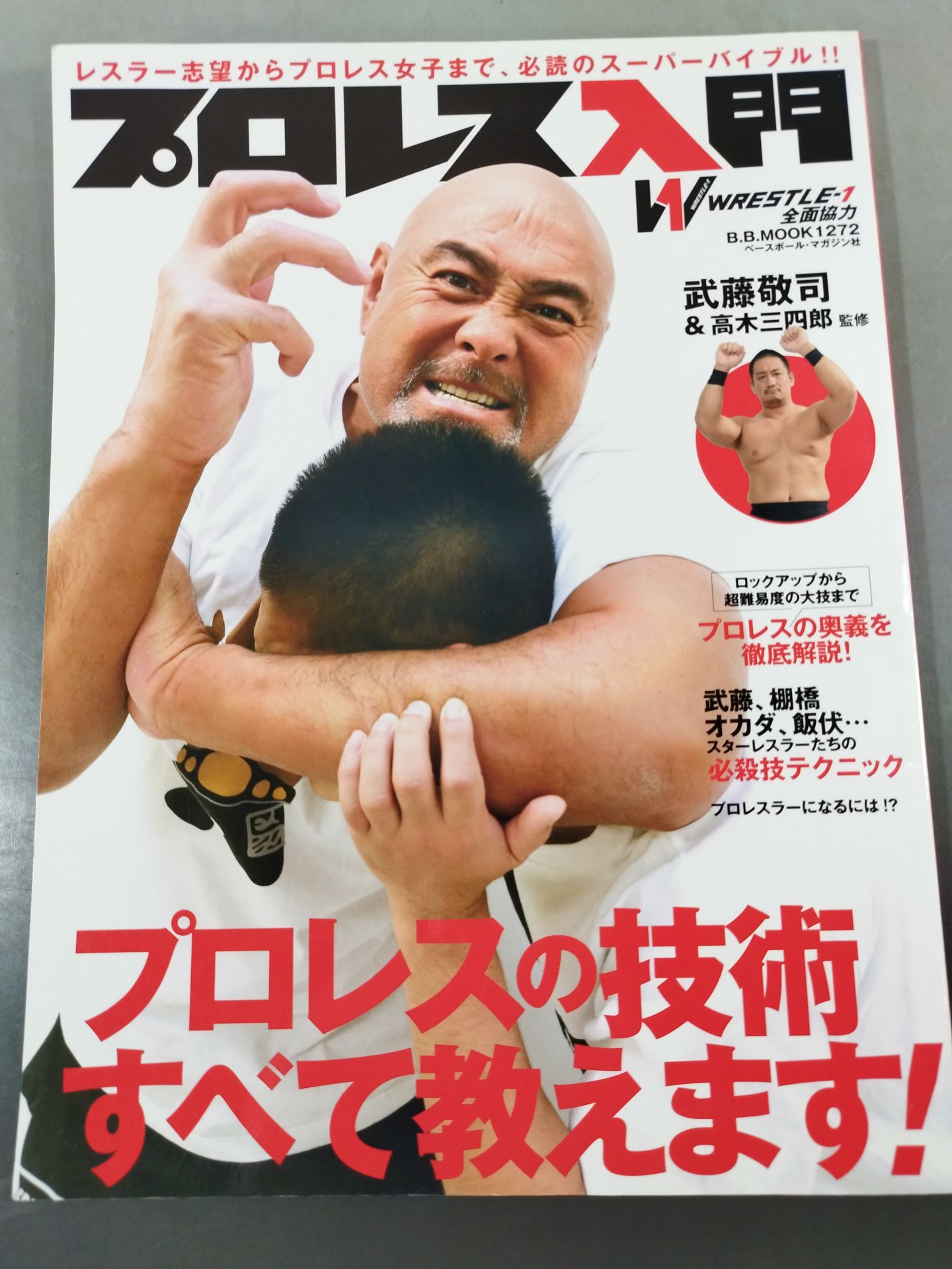Pro Wrestling  Introduction Pro WrestlingWe will teach you all about the technology!
