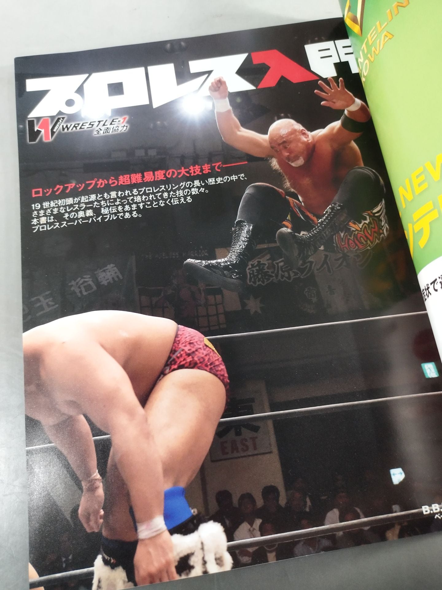 Pro Wrestling  Introduction Pro WrestlingWe will teach you all about the technology!