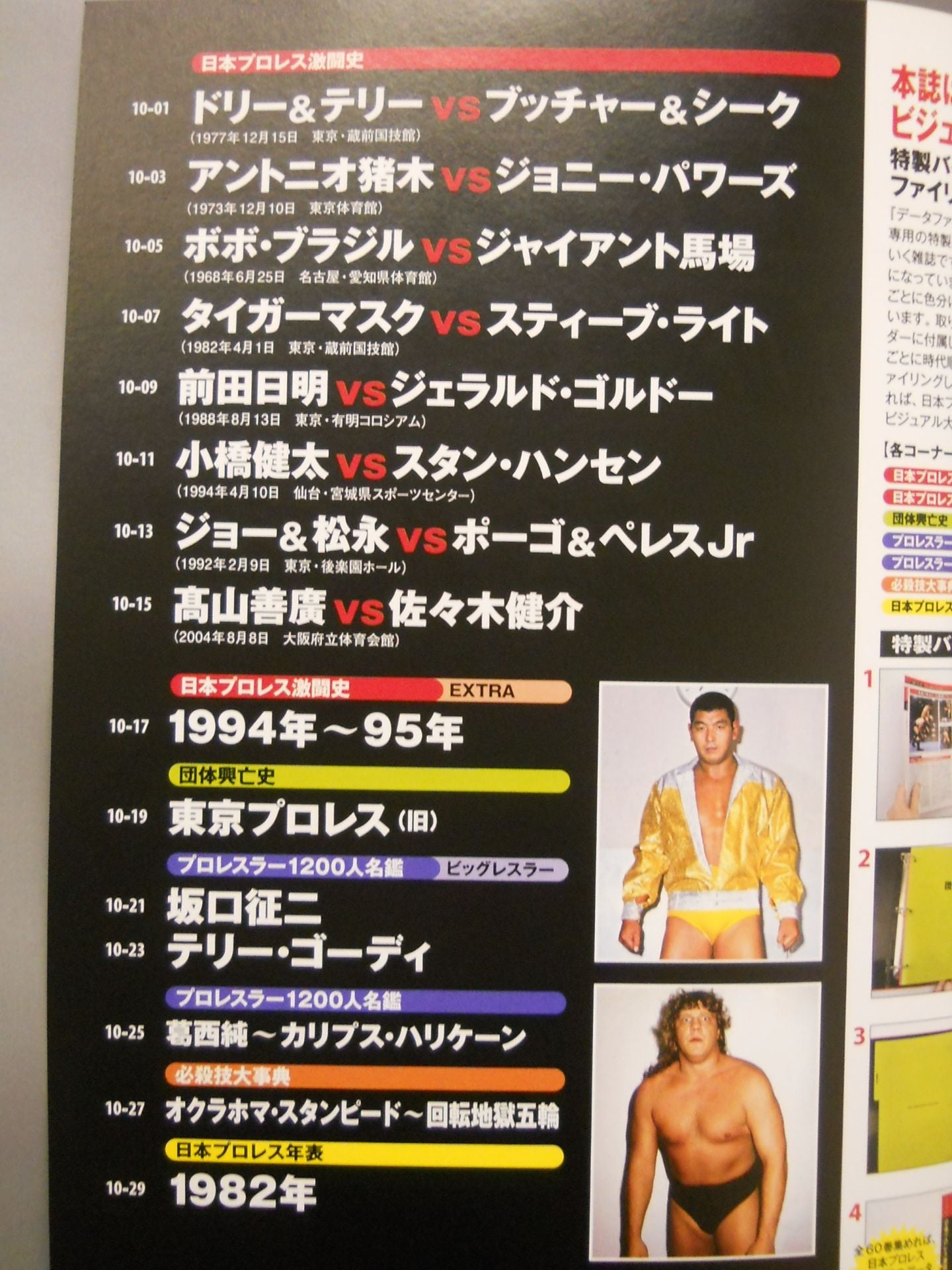 日本プロレス激闘60年史 (10)