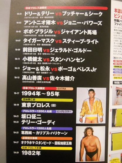 日本プロレス激闘60年史 (10)
