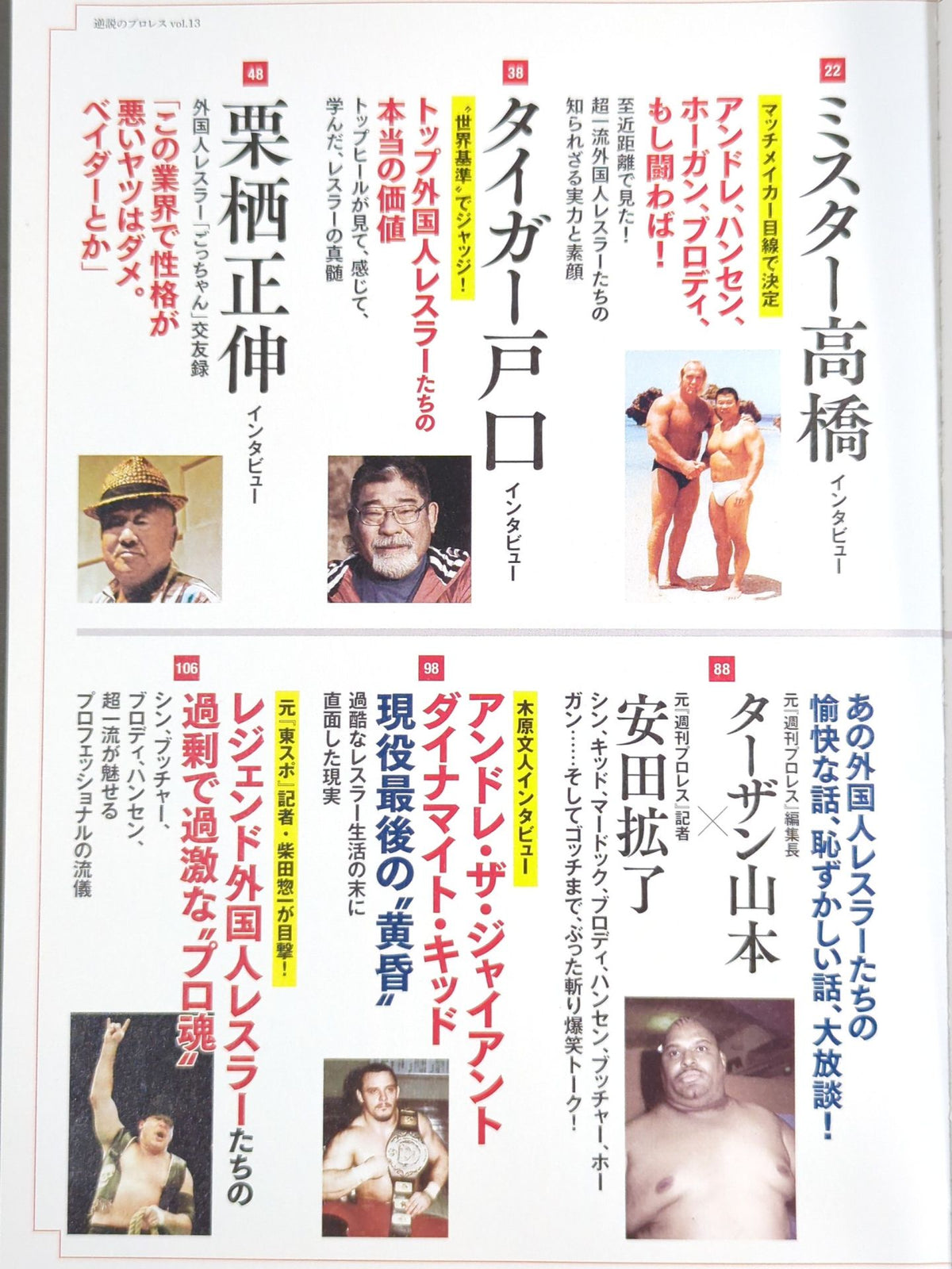 シリーズ 逆説のプロレス Vol.13 新日本プロレス昭和黄金期外国人レスラー超怪物伝説