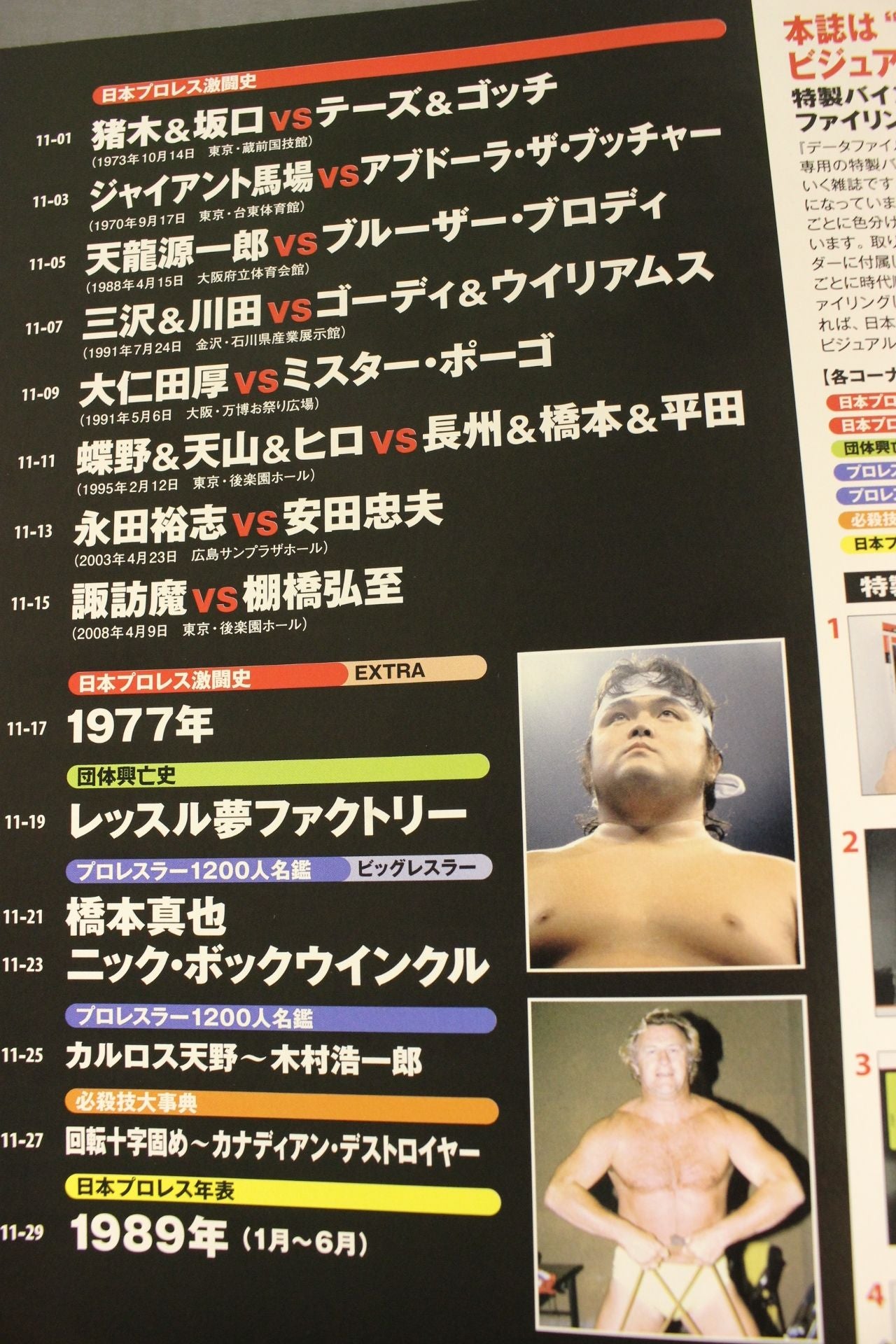 日本プロレス激闘60年史 (11)