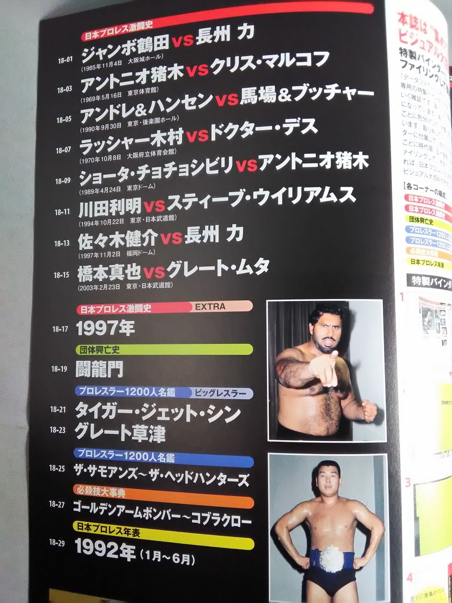 日本プロレス激闘60年史 (18)