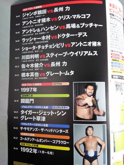 日本プロレス激闘60年史 (18)