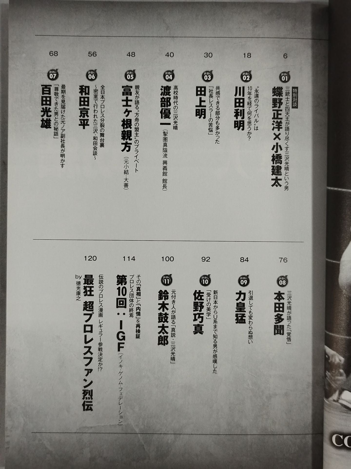 俺たちのプロレス Vol.12 三沢光晴の真実 急逝から10年―。ライバルや盟友12名がそれ