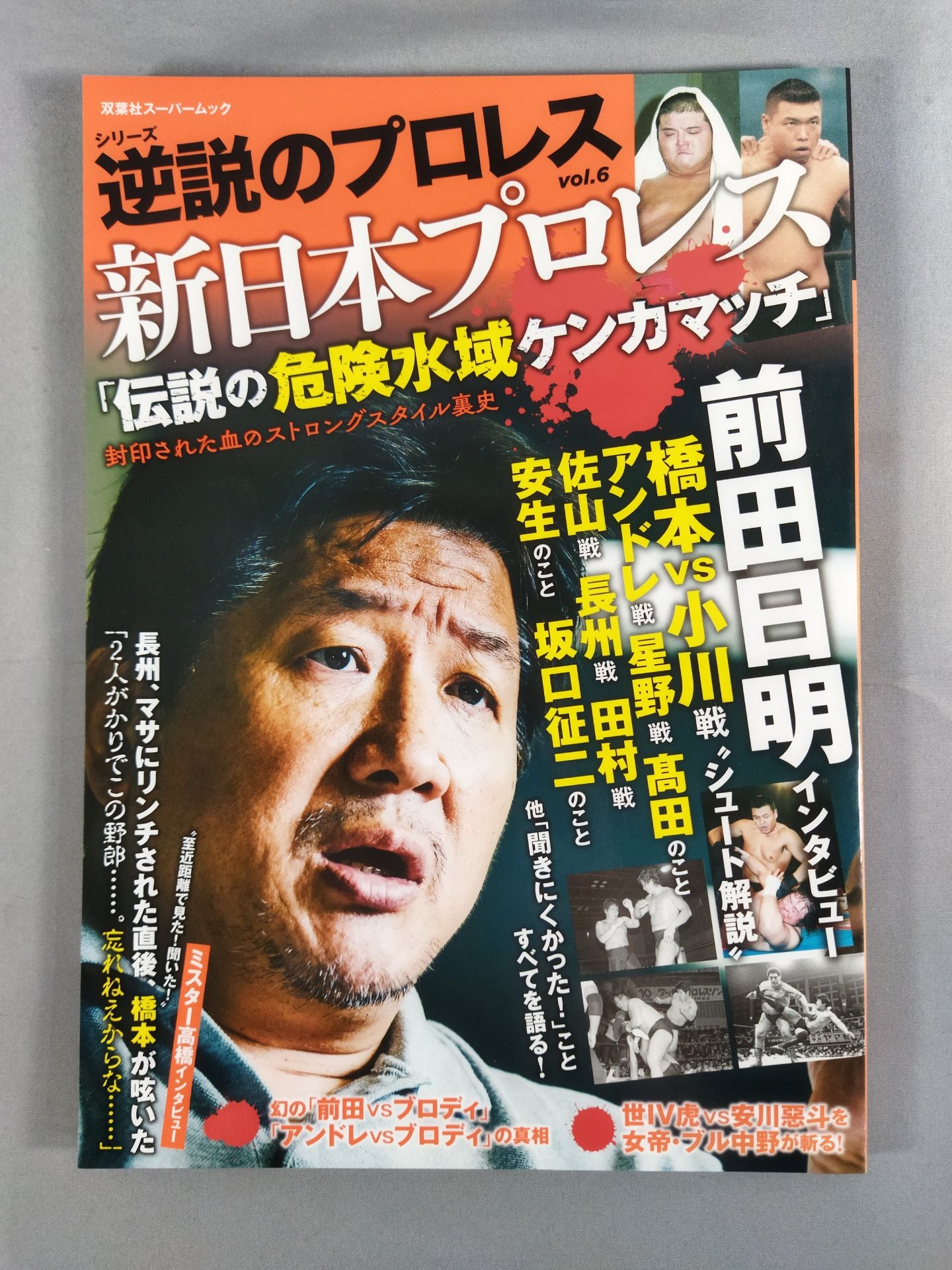 シリーズ 逆説のプロレス Vol.6 新日本プロレス「伝説の危険水域ケンカマッチ」