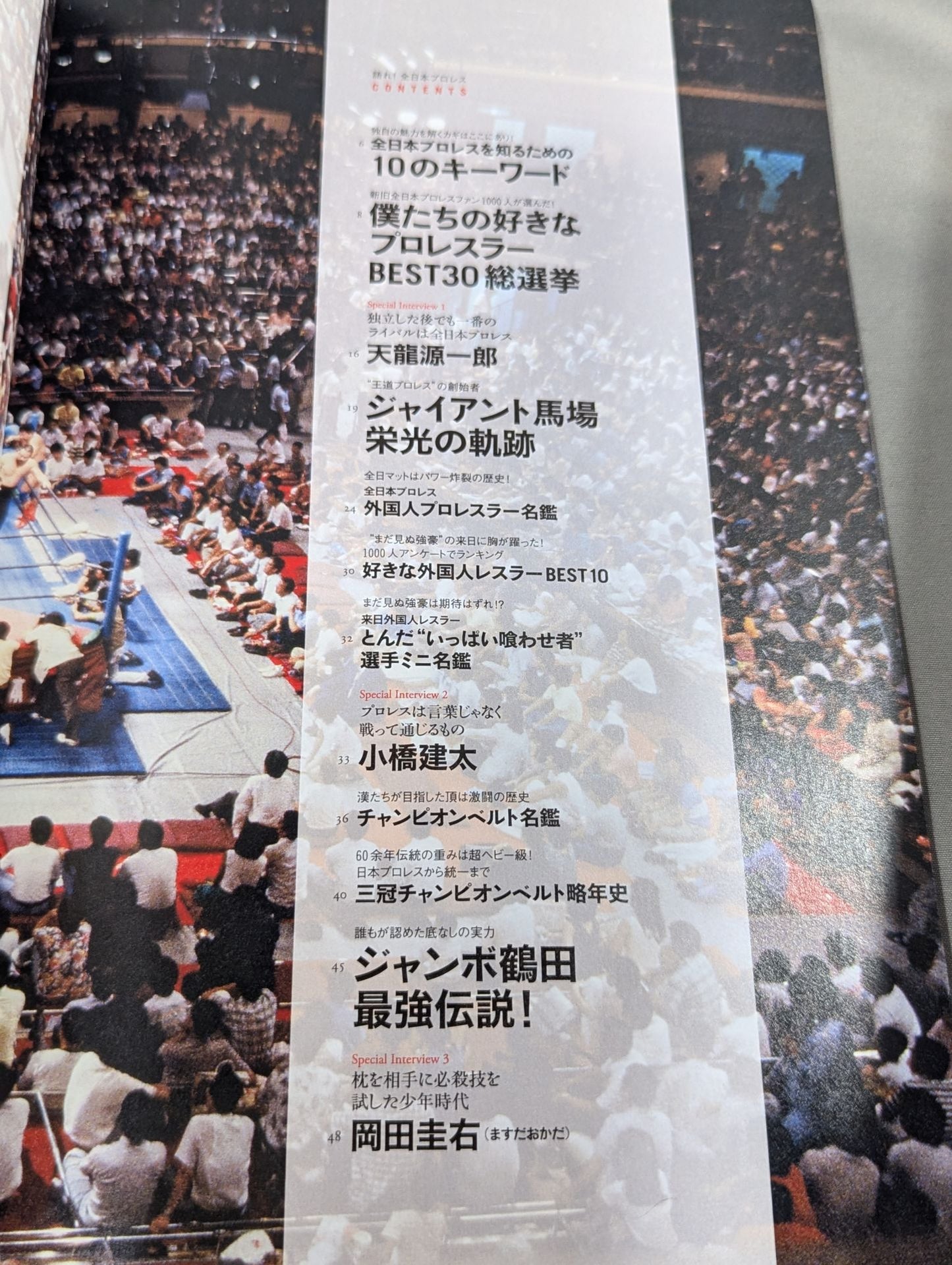 Speak! All Japan Pro Wrestling [Permanent Preservation Version]