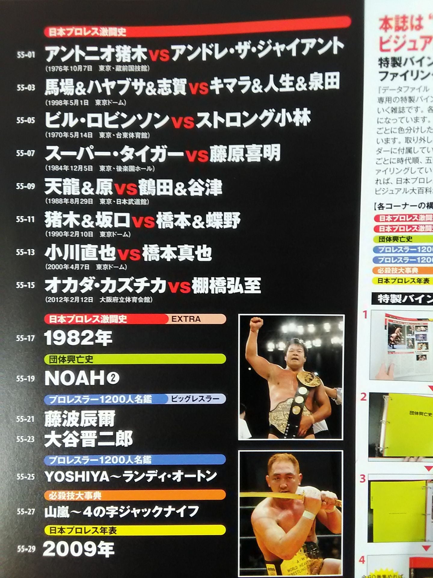 日本プロレス激闘60年史 (55)