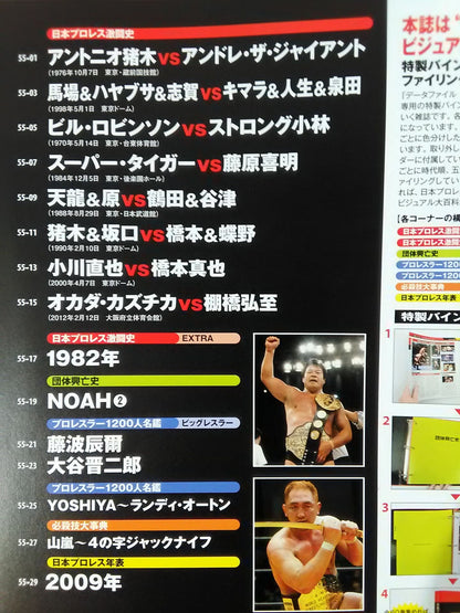日本プロレス激闘60年史 (55)