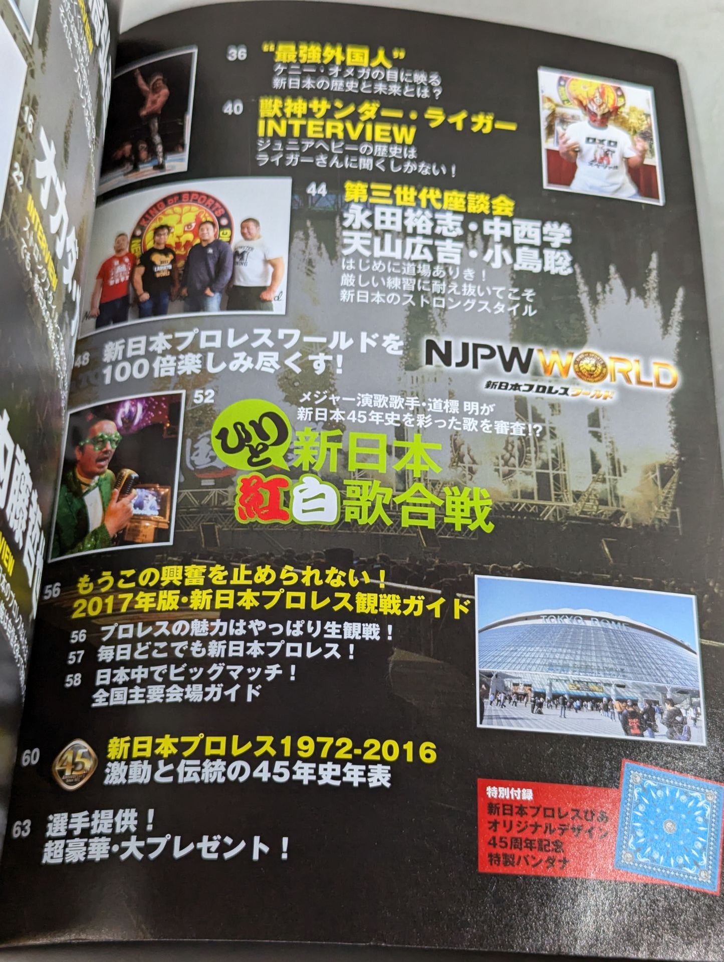 [With bandana] New Japan Pro Wrestling Pia 2017 45th Anniversary Memorial BOOK
