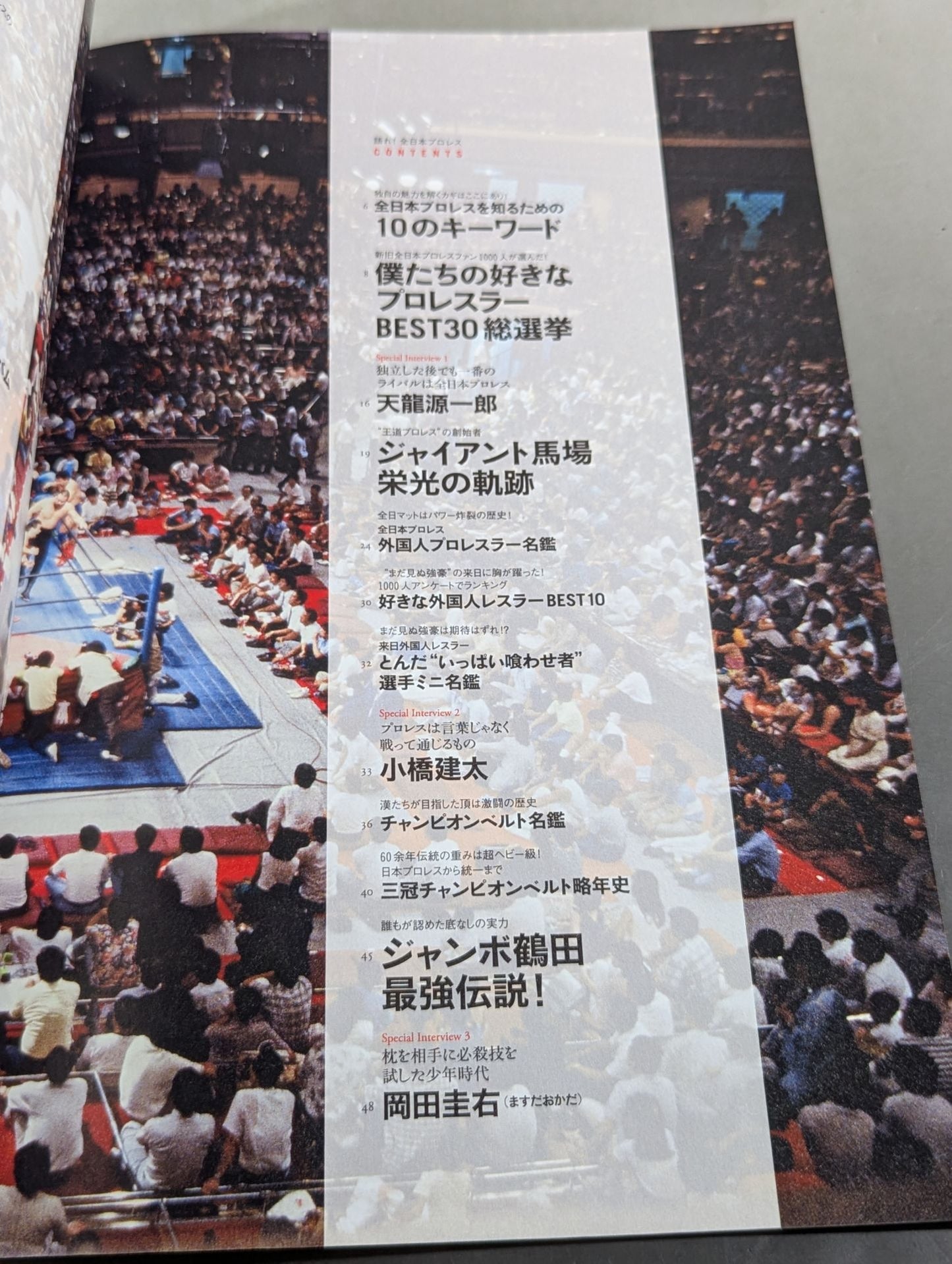 Speak! All Japan Pro Wrestling [Permanent Preservation Version]