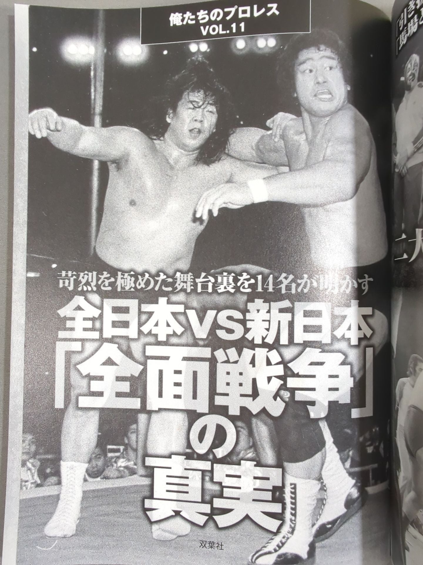俺たちのプロレス VOL.11 「全日本vs新日本」苛烈を極めた全面戦争の舞台裏を14名が明かす