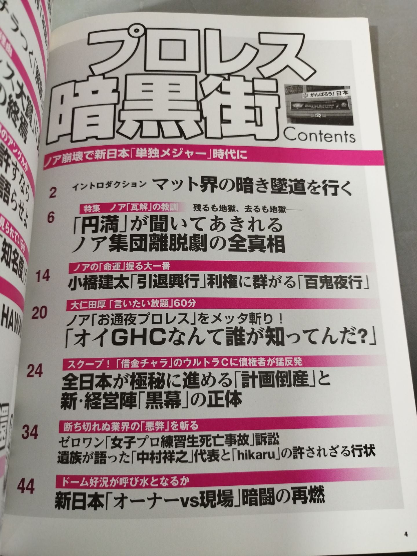 Separate volume Treasure Island 1954 Pro Wrestling  Underworld / Special Feature: "Lessons" of Noah's Disintegration