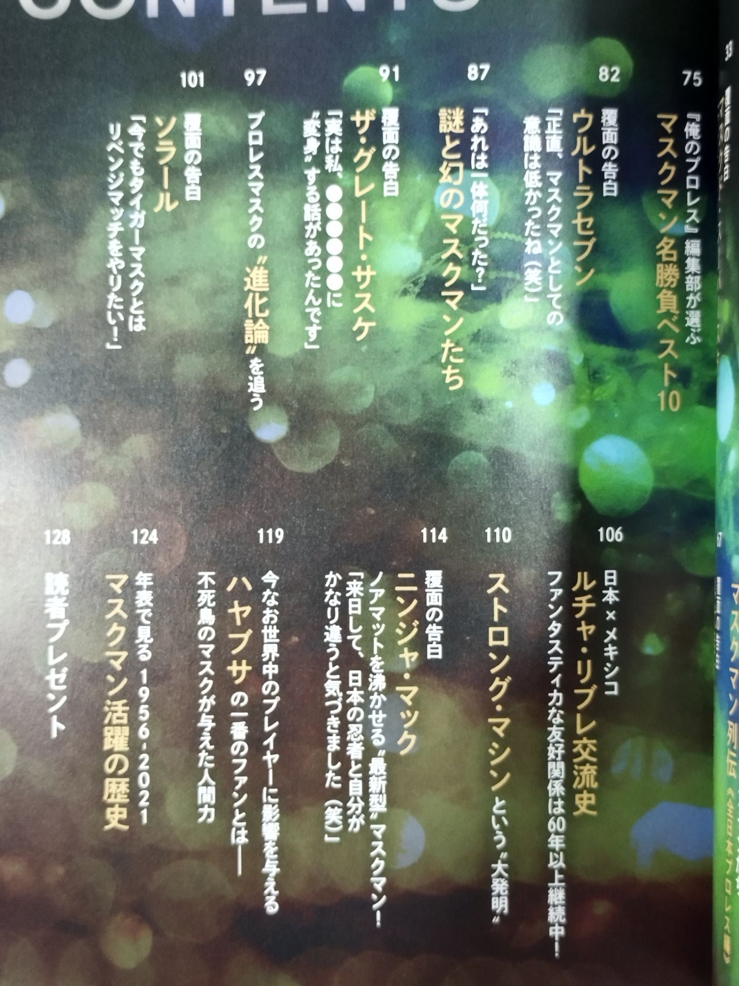 My Pro Wrestling  vol.04 Masked Confession What was happening at that time?