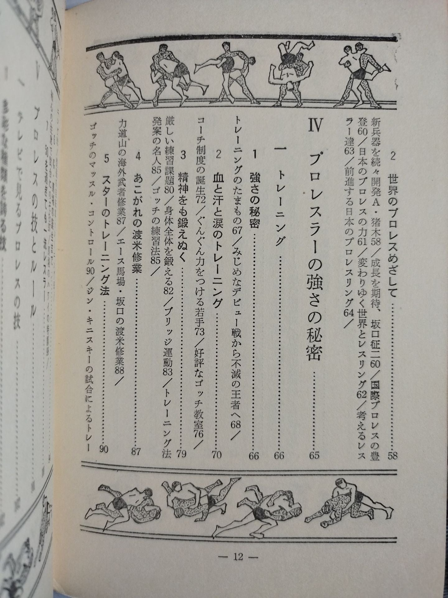【Junior Introductory Encyclopedia】We Pro Wrestling  Fans