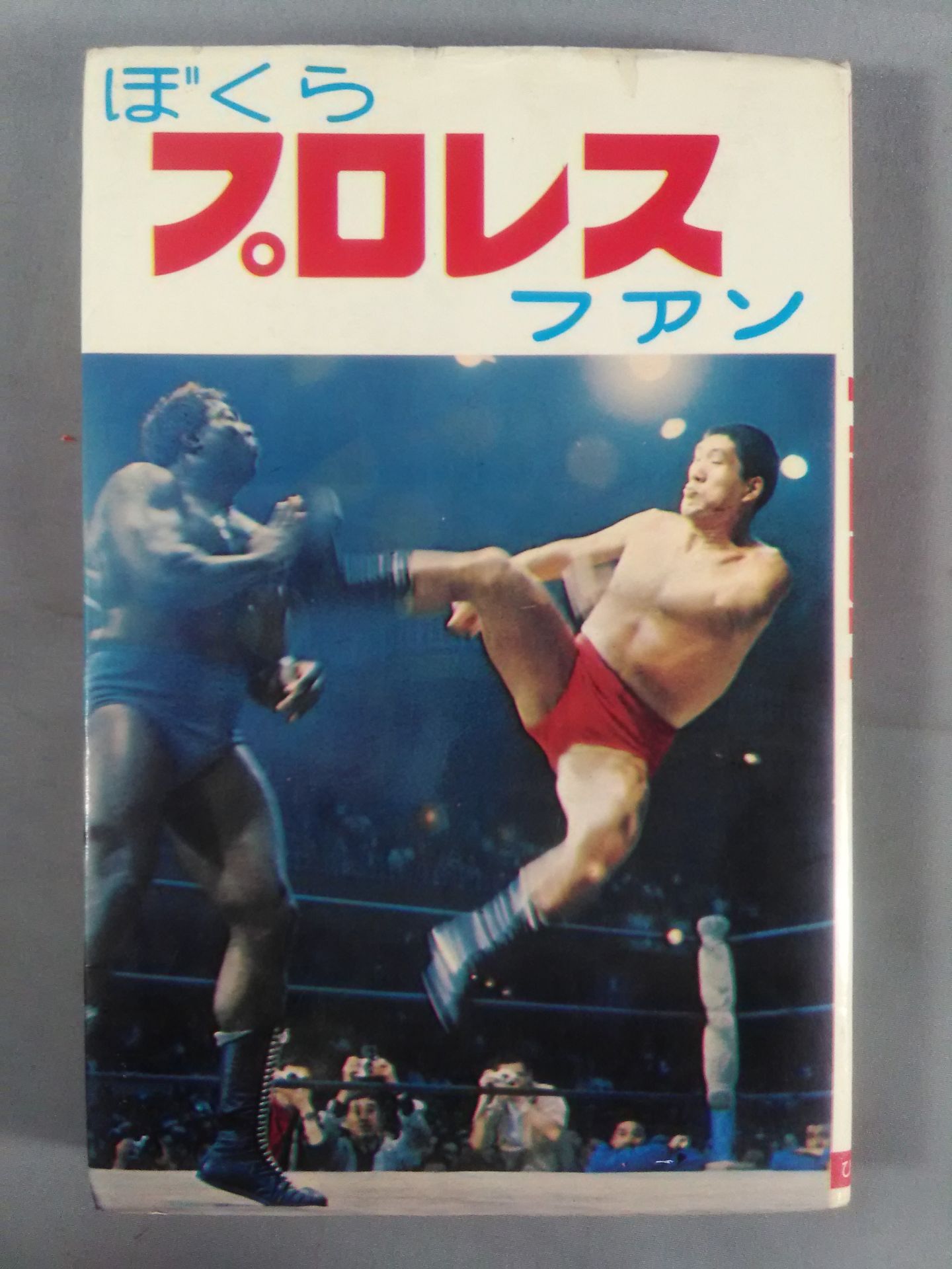 【Junior Introductory Encyclopedia】We Pro Wrestling  Fans