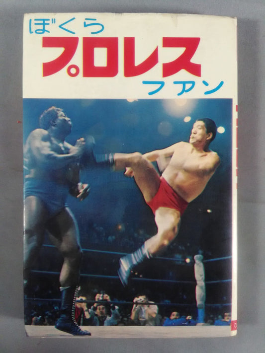 【Junior Introductory Encyclopedia】We Pro Wrestling  Fans