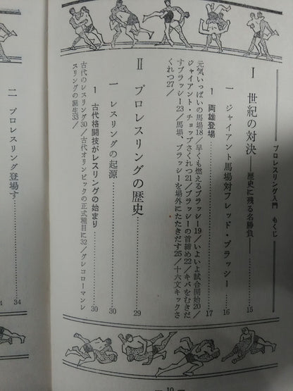 【Junior Introductory Encyclopedia】We Pro Wrestling  Fans