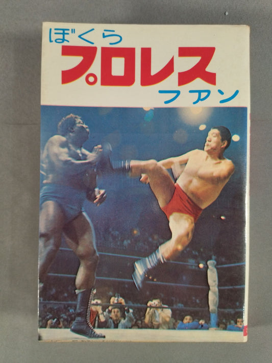 【Junior Introductory Encyclopedia】We Pro Wrestling  Fans