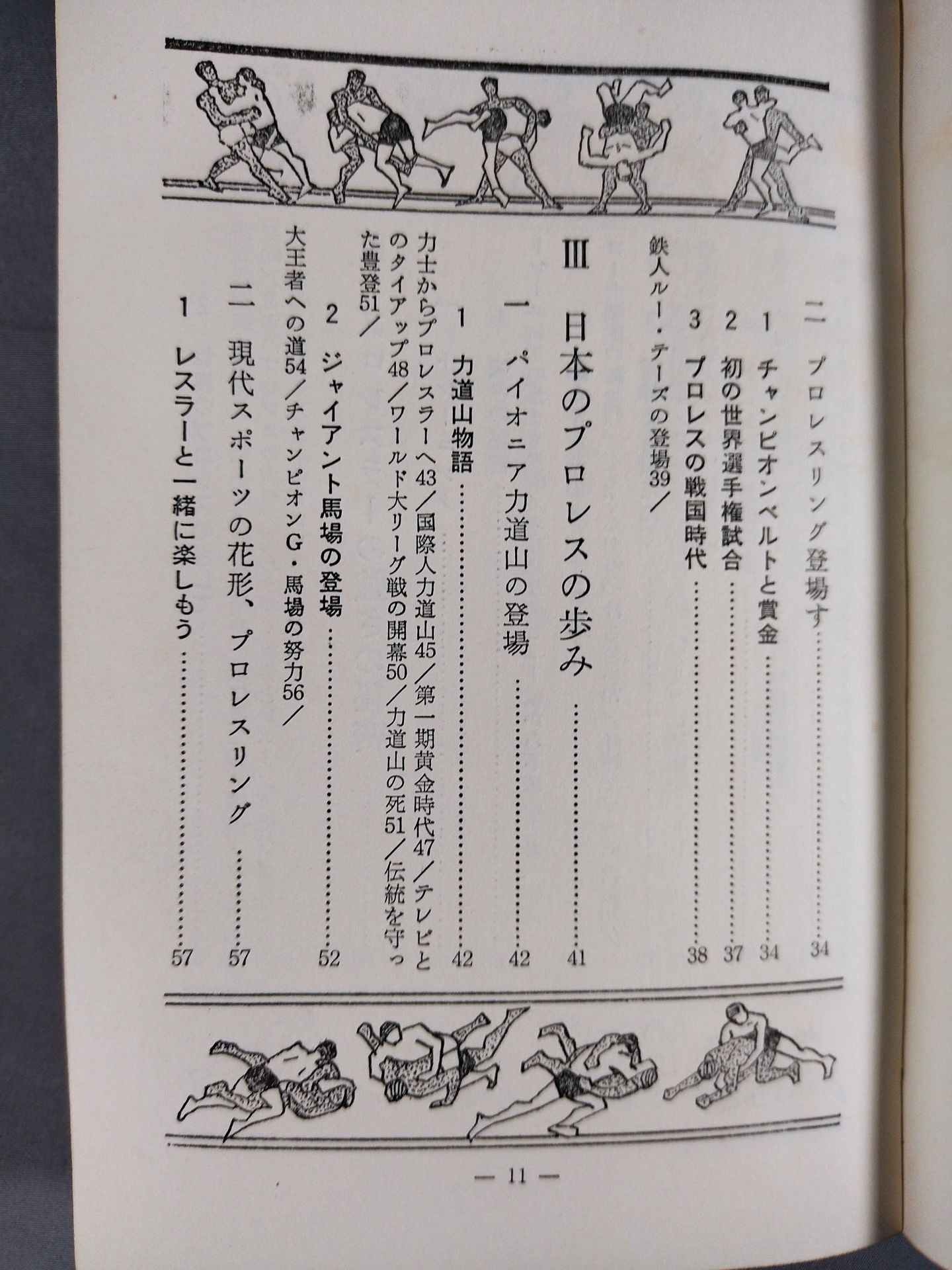 【Junior Introductory Encyclopedia】We Pro Wrestling  Fans