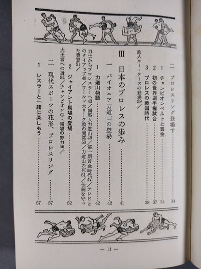 【Junior Introductory Encyclopedia】We Pro Wrestling  Fans