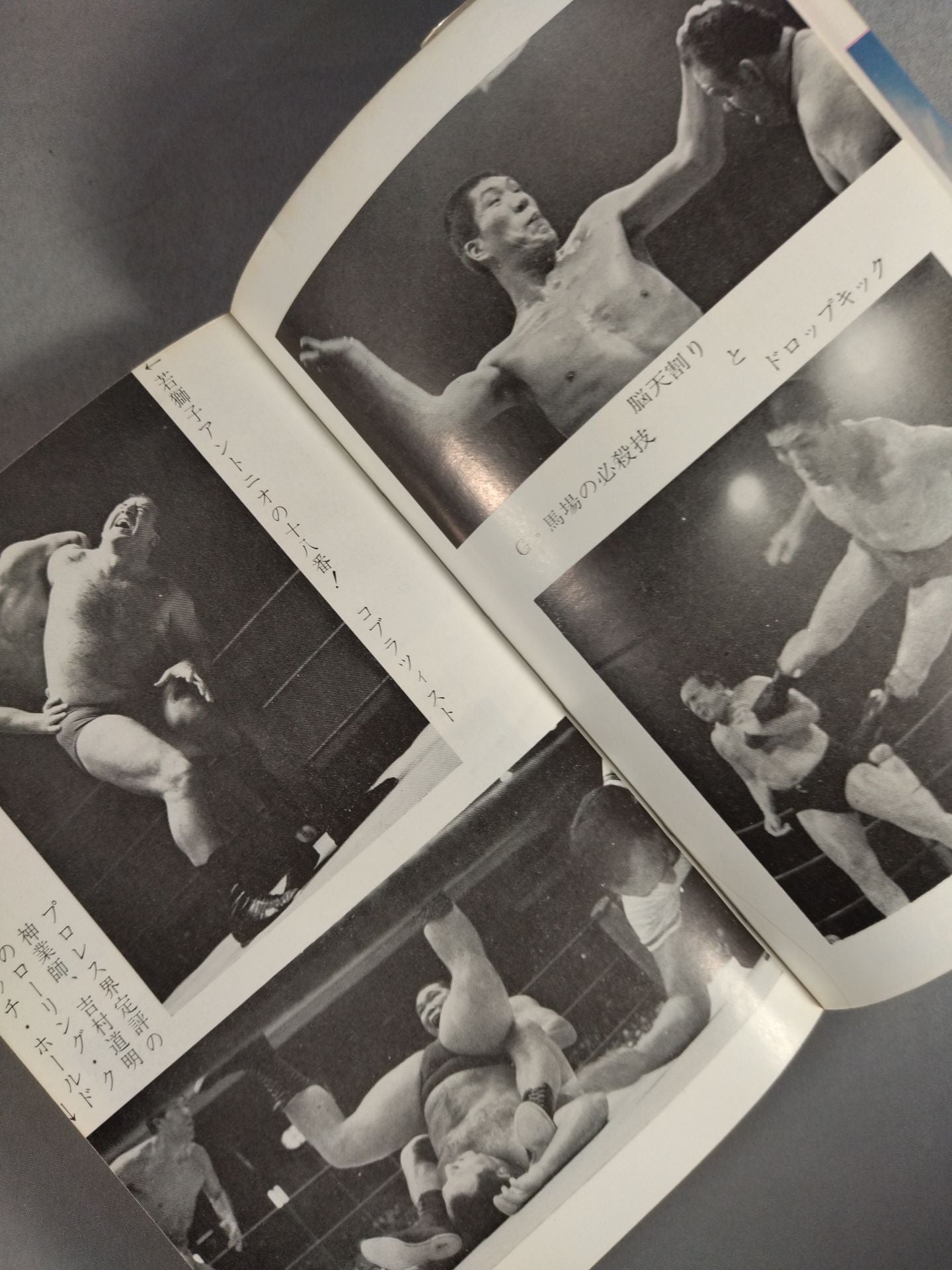 【Junior Introductory Encyclopedia】We Pro Wrestling  Fans