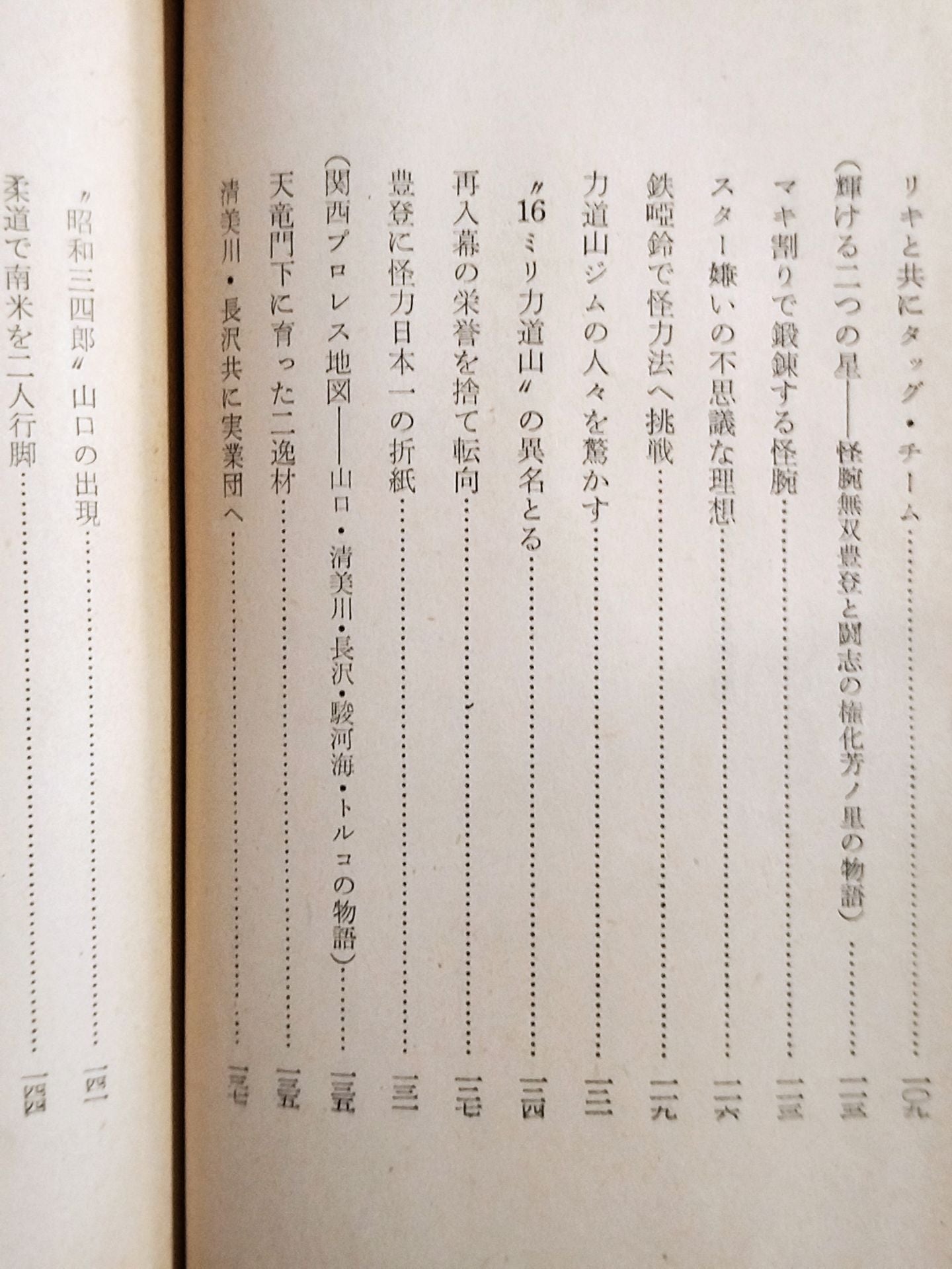 Japan Pro Wrestling  Fuun Record Sports Shinsho 31