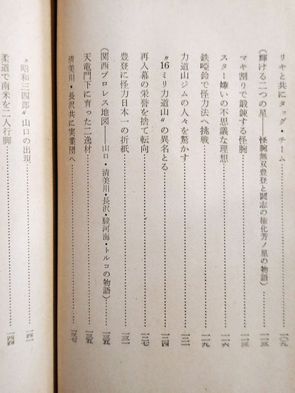 Japan Pro Wrestling  Fuun Record Sports Shinsho 31