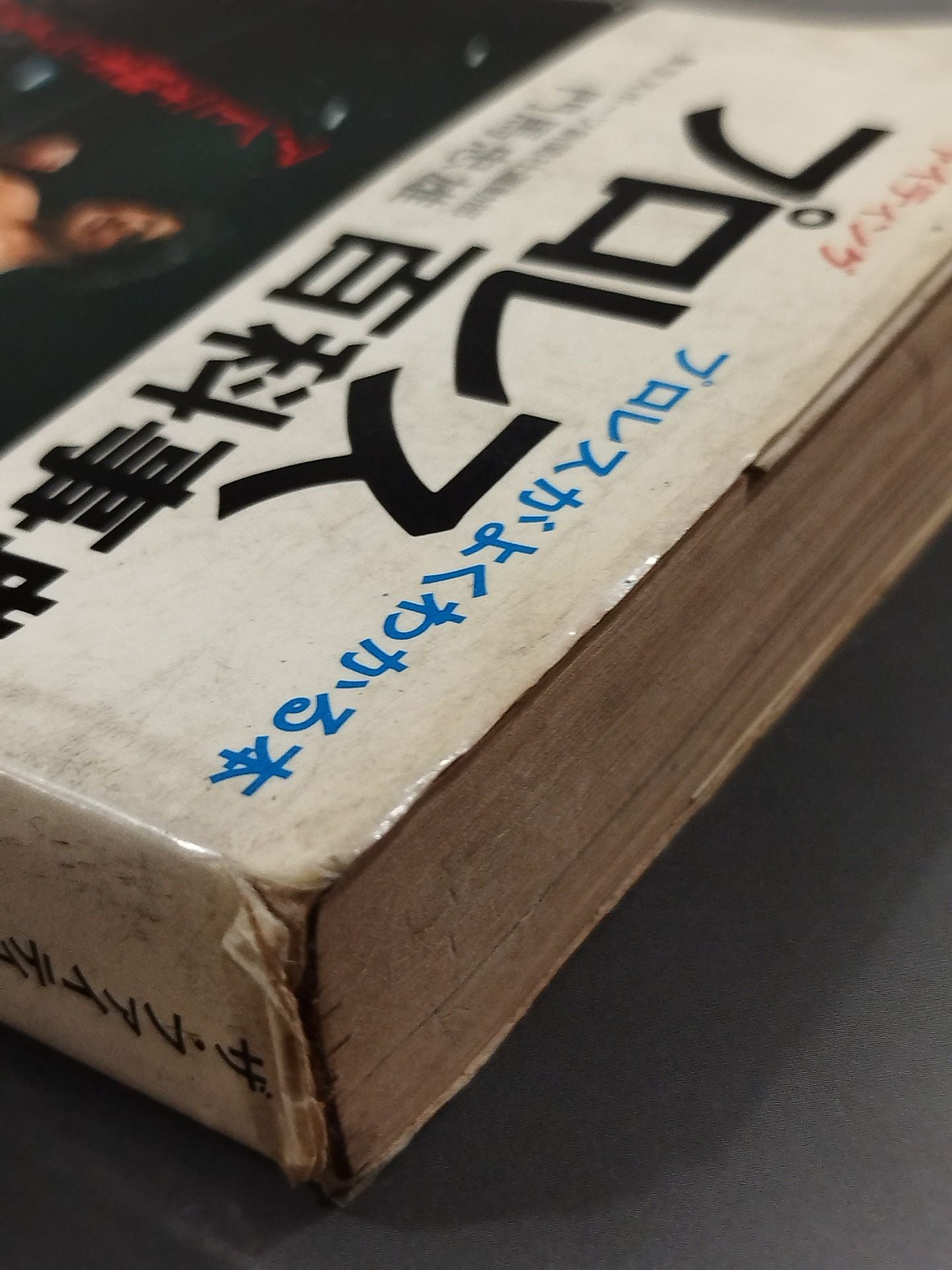 プロレス百科事典 ザ・ファイティング プロレスがよくわかる本