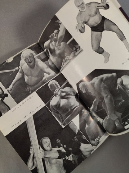 【Junior Introductory Encyclopedia】Strong Pro Wrestling