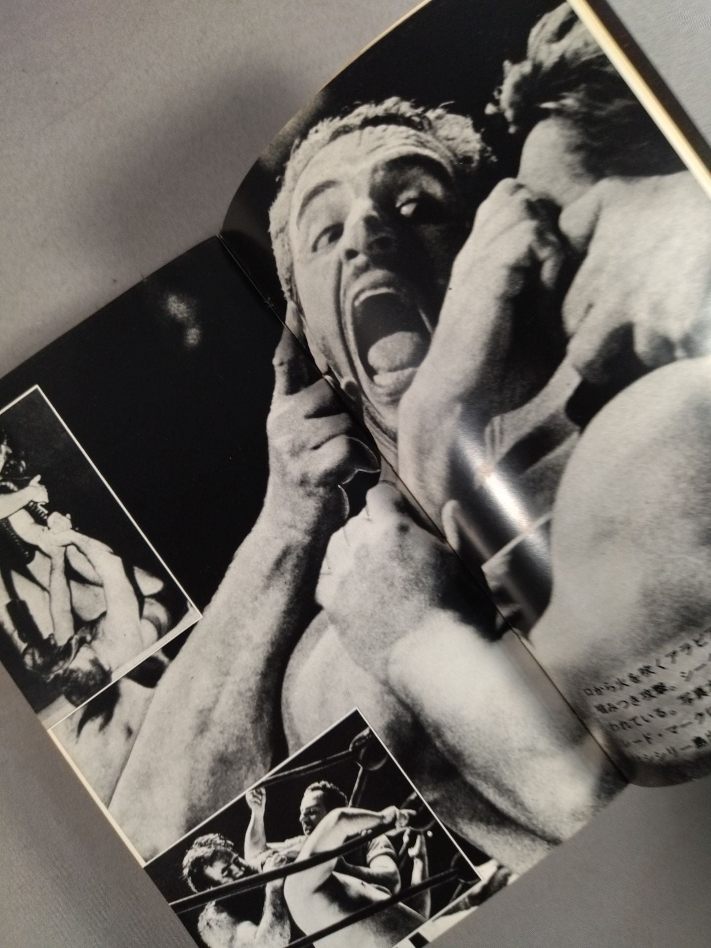 Modern Pro Wrestling Monsters / 30 Monsters That Stain Matt in Blood