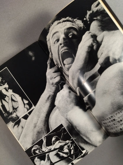 Modern Pro Wrestling Monsters / 30 Monsters That Stain Matt in Blood