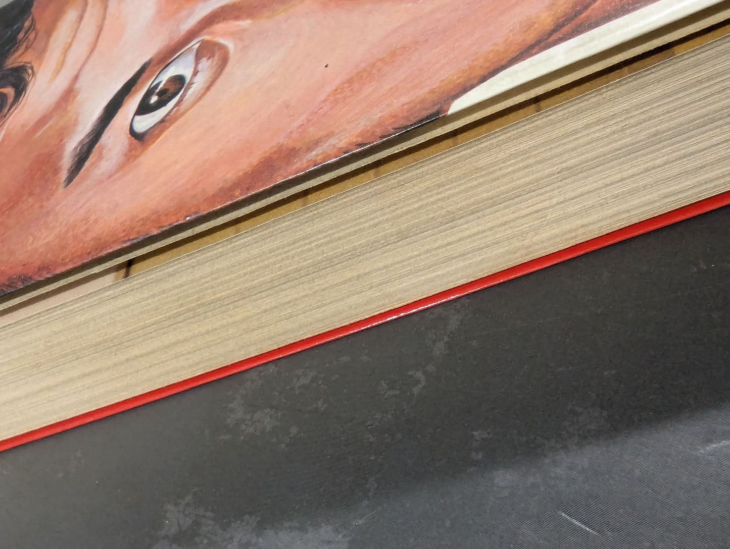 Burning Fighting Spirit: Antonio Inoki's Autobiography (Cover Illustration Version)