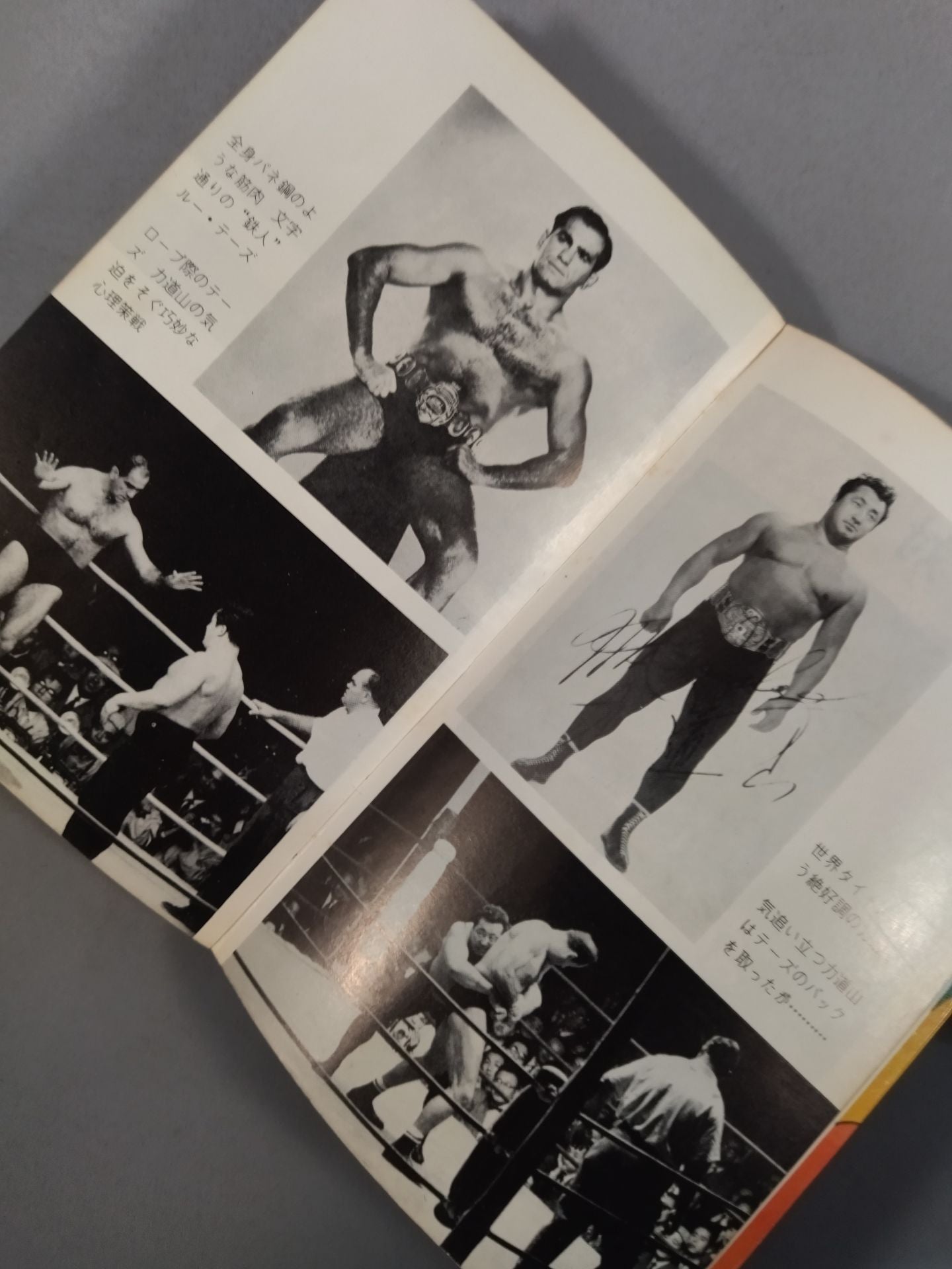 Record of Blood Struggle and Friendship Immortal King / Rikidozan  Thesz
