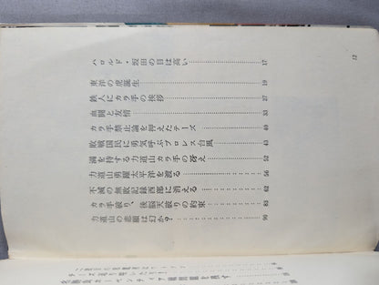 A record of blood battle and friendship: The Immortal King / Rikidozan Thez