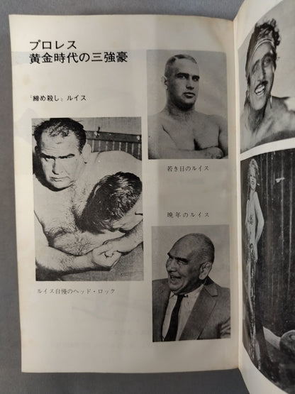 Pro Wrestling : The Glory and Darkness of the Golden Age